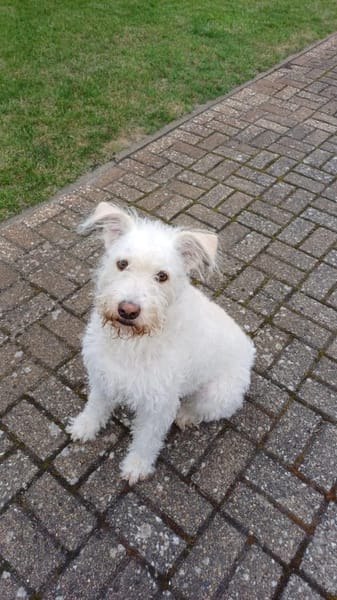 FiNDUS braucht Liebe u. Konsequenz 🙏