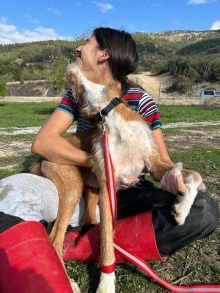 Biscuit - lass mich nicht allein