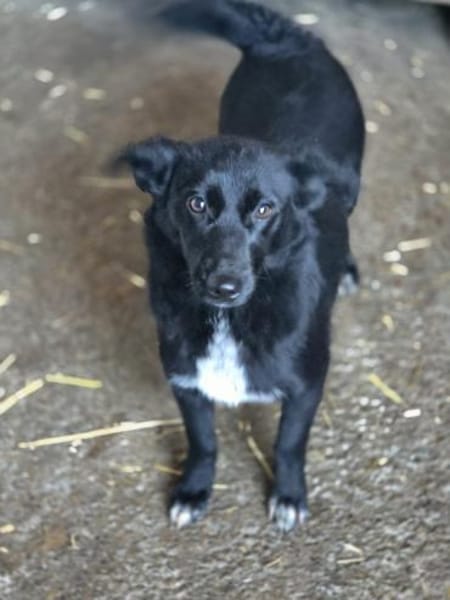 Elly  ein kleiner Schatz