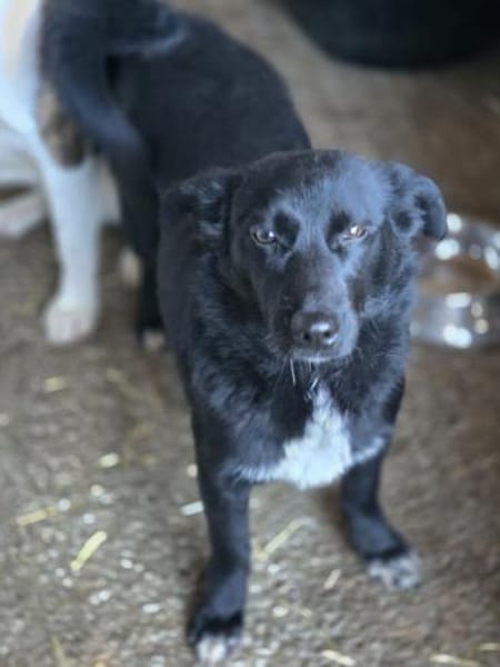 Elly  ein kleiner Schatz