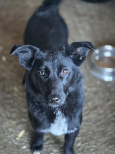 Elly  ein kleiner Schatz