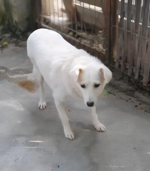 Ella wartet auf verständnisvolle Mensche