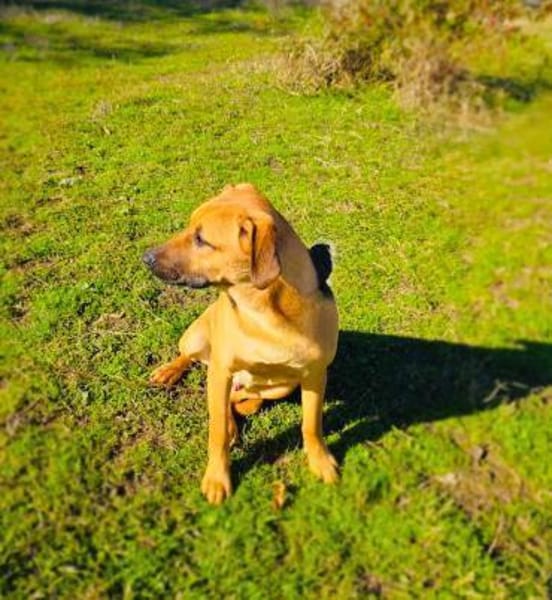 Kati ein super liebes Mädchen