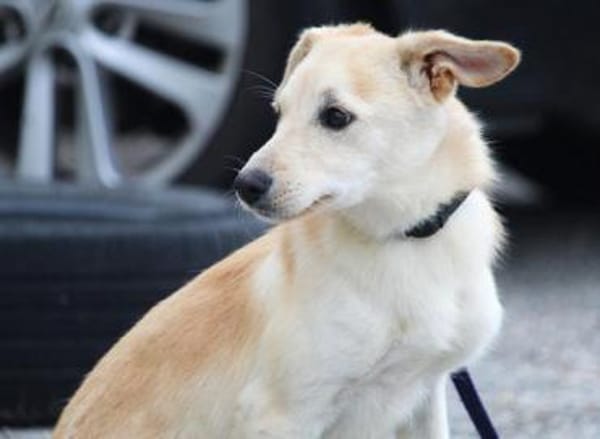 Amali ist einfach nur bezaubernd + lieb!