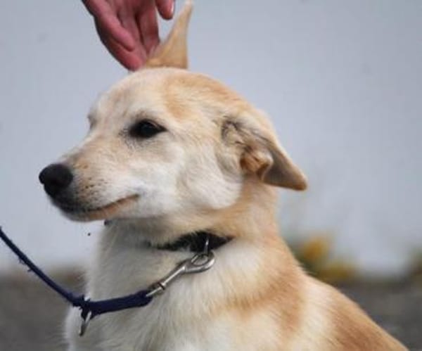 Amali ist einfach nur bezaubernd + lieb!