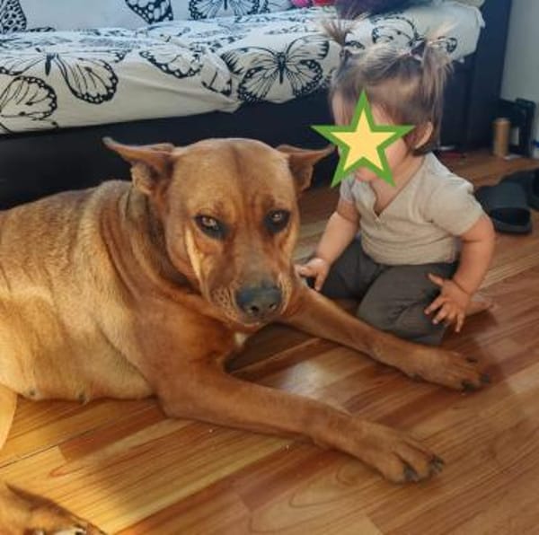 DORI-SUCHT IHR GLÜCK