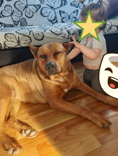 DORI-SUCHT IHR GLÜCK