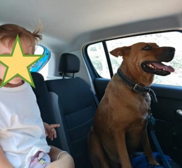 DORI-SUCHT IHR GLÜCK