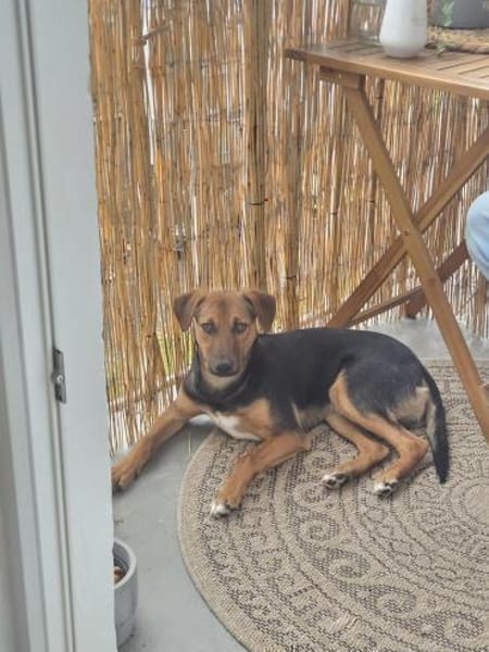 💙Bobby💙sucht seine Familie