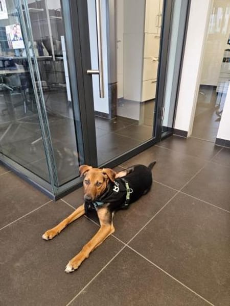 💙Bobby💙sucht seine Familie