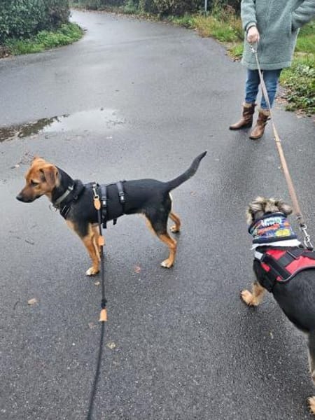 💙Bobby💙sucht seine Familie