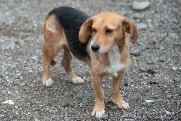 Ein Naturbursche sucht seine Menschen 🙃