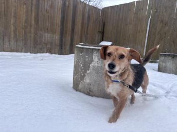 Ein Naturbursche sucht seine Menschen 🙃