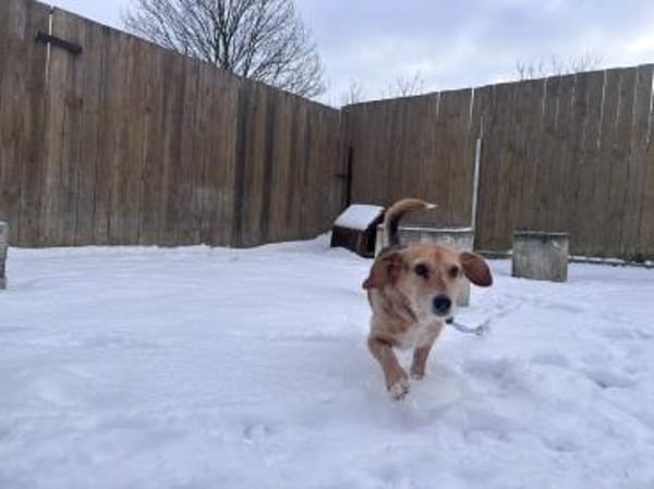 Ein Naturbursche sucht seine Menschen 🙃