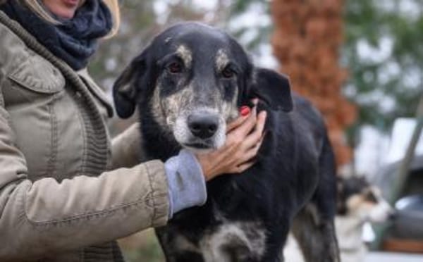 Casper wartet auf dich!