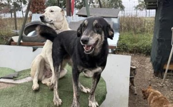 Casper wartet auf dich!