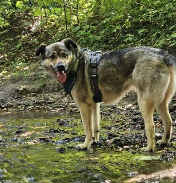 Altes liebes soziales Mädchen KATE ♥‼