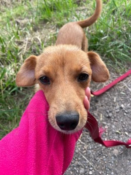 Nelly, kleiner Jungspund