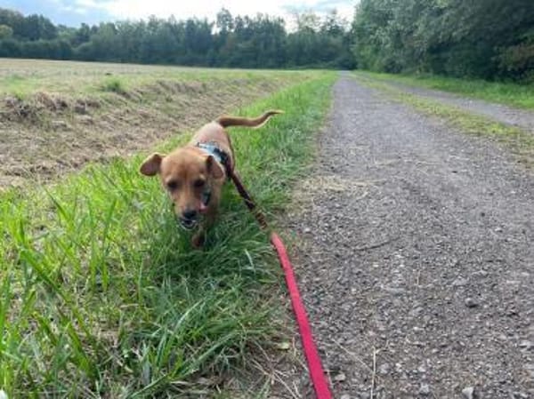 Nelly, kleiner Jungspund