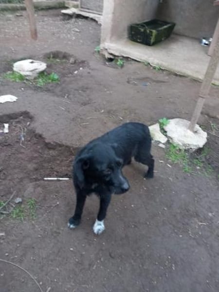 LINA 💛💛💛 sanft und liebenswert