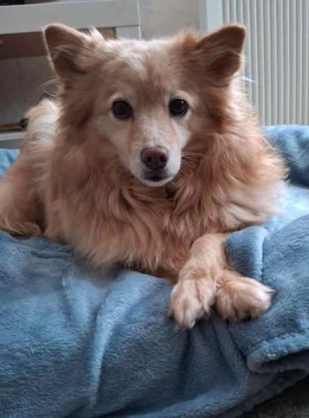 Jimena verdient ganz viel Liebe.....