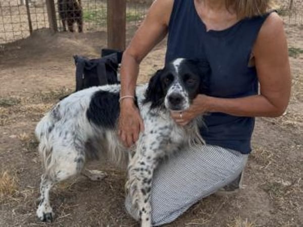 Sten wünscht sich Zuwendung