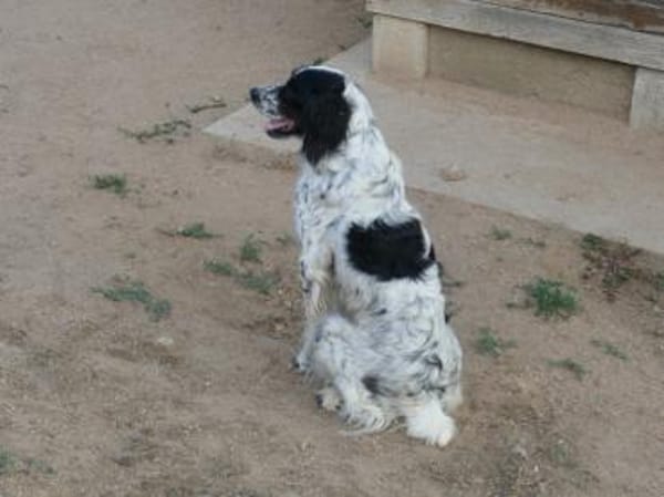 Sten wünscht sich Zuwendung