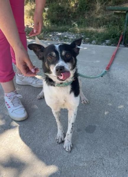 Problemlose unkomplizierte kleine INNA♥