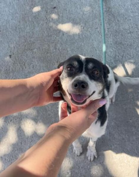 Problemlose unkomplizierte kleine INNA♥