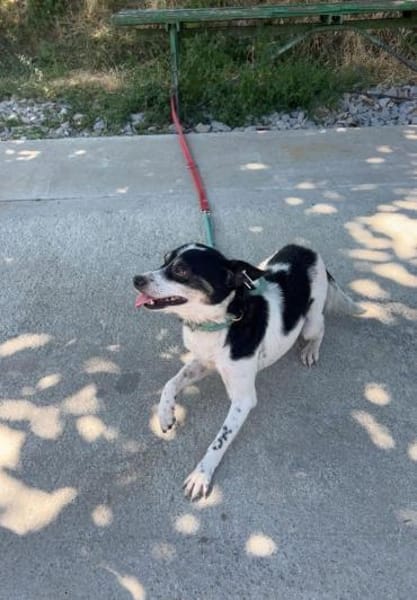 Problemlose unkomplizierte kleine INNA♥