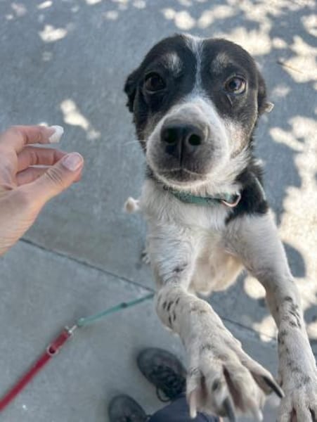 Problemlose unkomplizierte kleine INNA♥