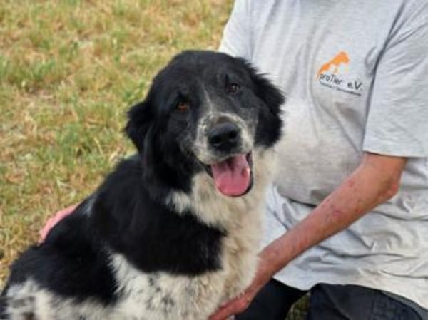 Angela freut sich auf Sie