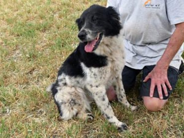 Angela freut sich auf Sie