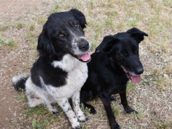 Angela freut sich auf Sie