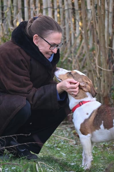 Charmanter Pinto wartet in Meerbusch!