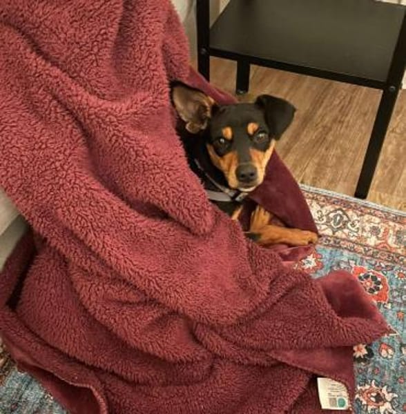 Vitalina wartet auf PS in HH!