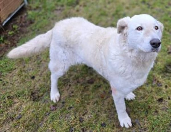 ZUZA braucht ein Zuhause