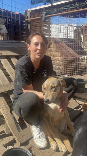 Coco sucht ihre Menschen