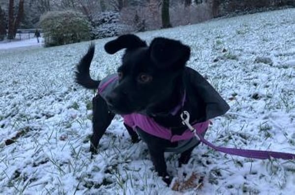 Funny 💗 wartet in 50674 Köln auf dich