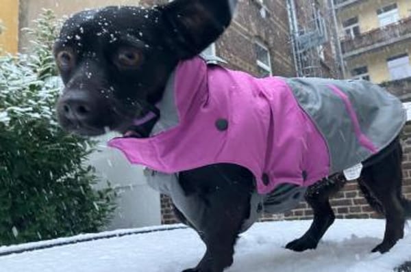 Funny 💗 wartet in 50674 Köln auf dich