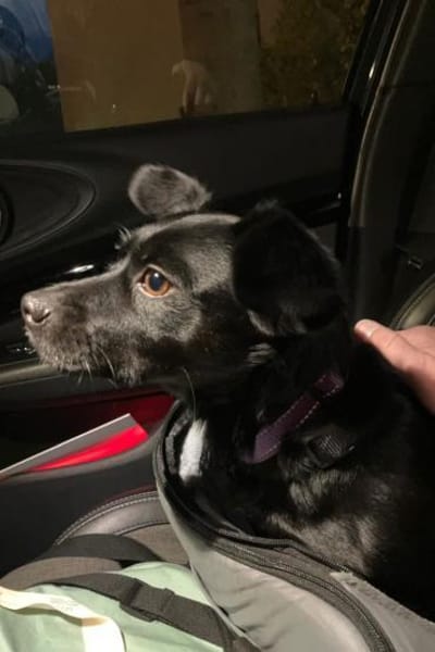 Funny 💗 wartet in 50674 Köln auf dich