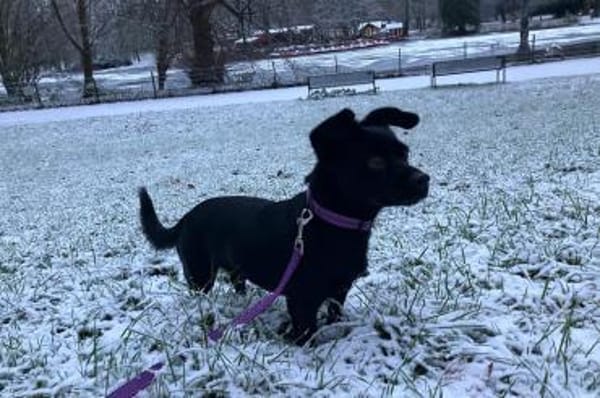 Funny 💗 wartet in 50674 Köln auf dich