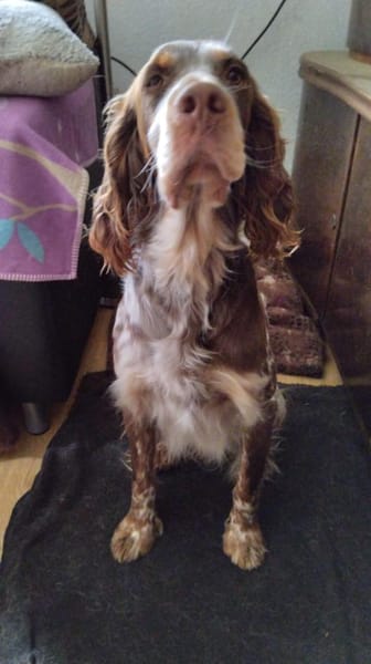 💙Bob Marley - in Deutschland auf PS