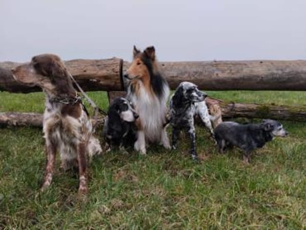 💙Bob Marley - in Deutschland auf PS