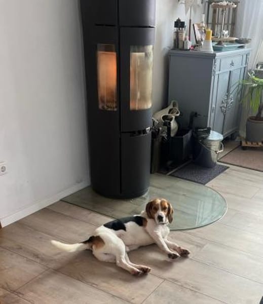 Bumbi wartet auf PS südlich von HH!