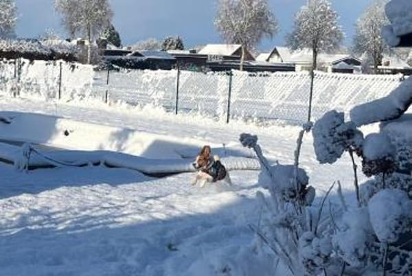 Bumbi wartet auf PS südlich von HH!