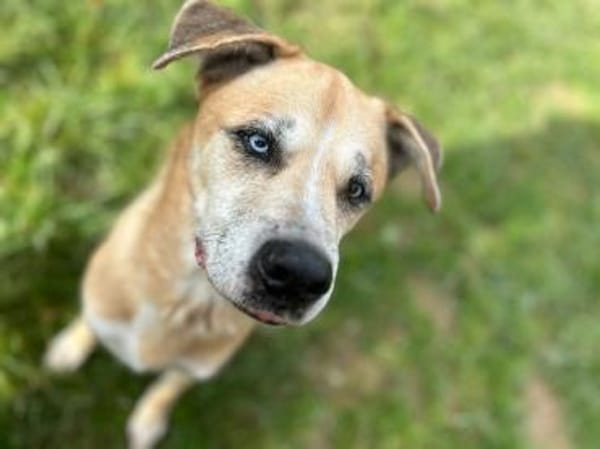 PRINZ - mit Elan und Freude dabei sein