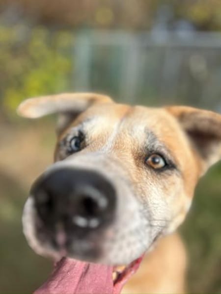 PRINZ - mit Elan und Freude dabei sein