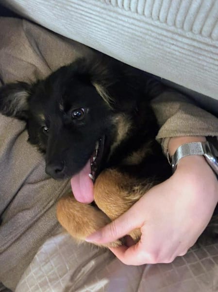 Jefferson wartet auf PS in HH!