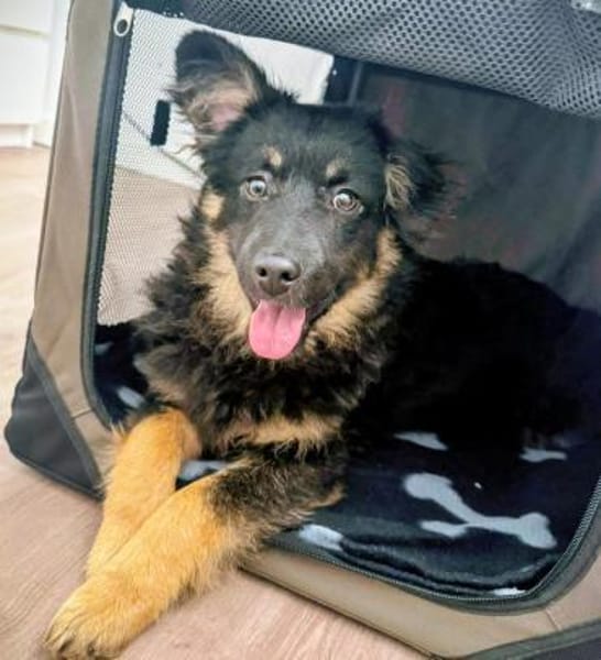 Jefferson wartet auf PS in HH!